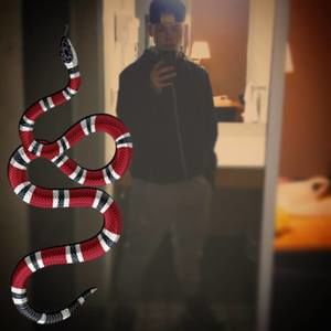 Meet your Posher, William